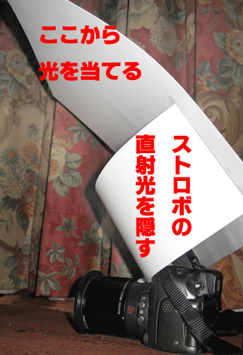 装着図.gif