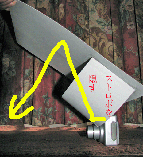 装着頭2.gif
