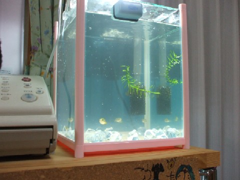 DSCF3205.JPG