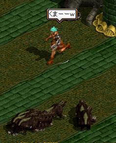 くまーｗｗｗｗｗｗｗｗ