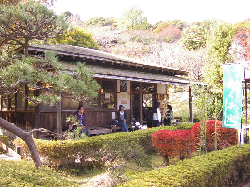 やくし茶屋＠薬師池公園