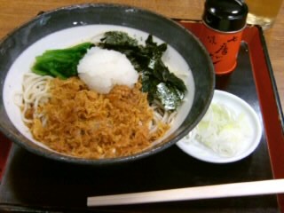 大三＠千束の冷やしたぬき１