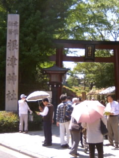 つつじまつり＠根津神社１