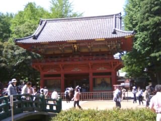 つつじまつり＠根津神社２