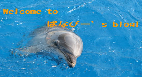 image_welcome_dolphin09.jpg