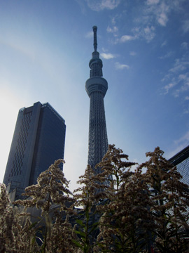 meieki2102.jpg
