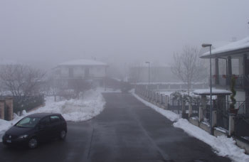 01 foggy morning.jpg