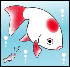 maru4.jpg