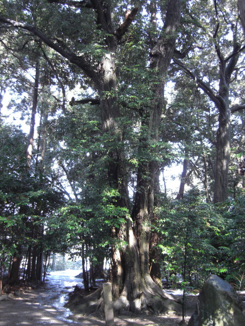 2008年2月10日0076.JPG