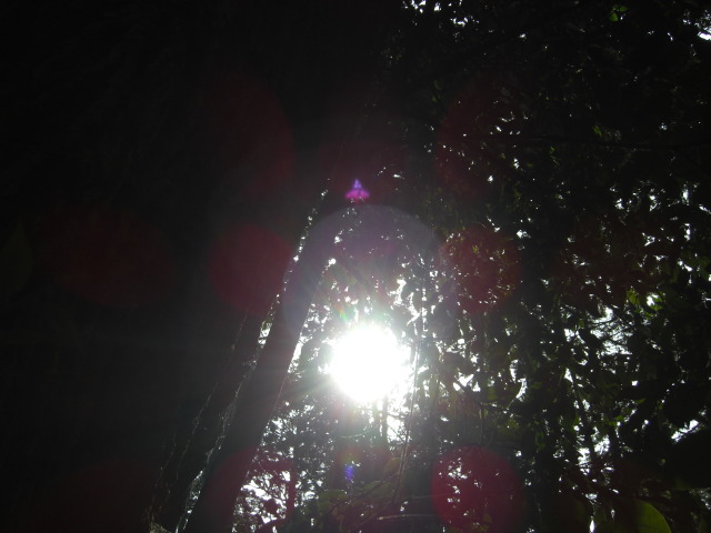 2008年3月2日0127.JPG