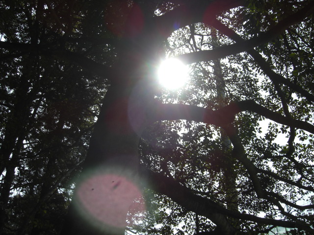 2008年3月2日0125.JPG
