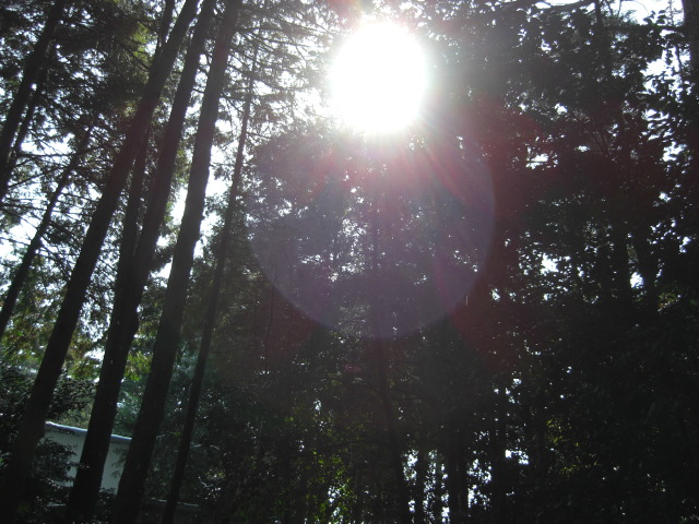 2008年2月10日0089.JPG