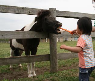 馬と.JPG