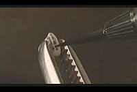 米粒写経（チームバチスタの栄光）