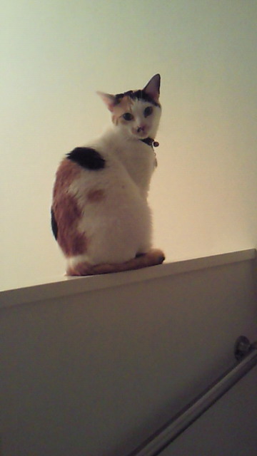 200906081920000.jpg