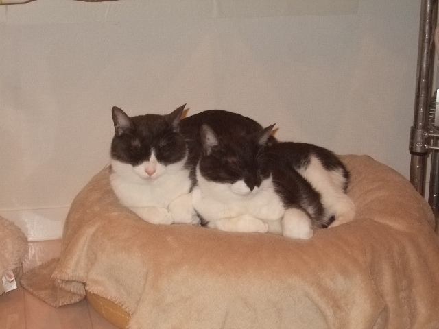 DSCF9021.JPG