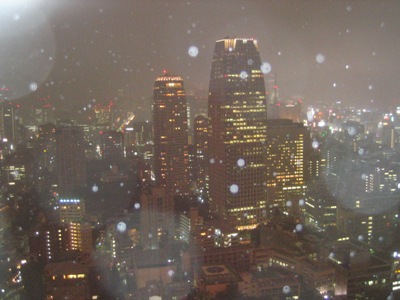 東京タワーからの夜景