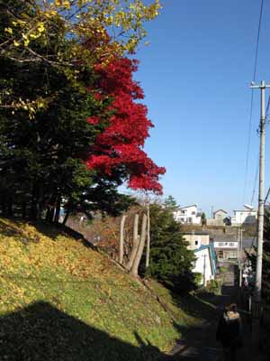 小樽-天上寺の紅葉3