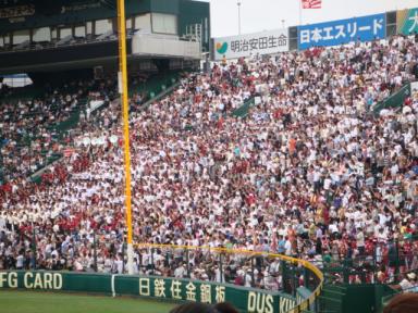 DSC00560.JPG