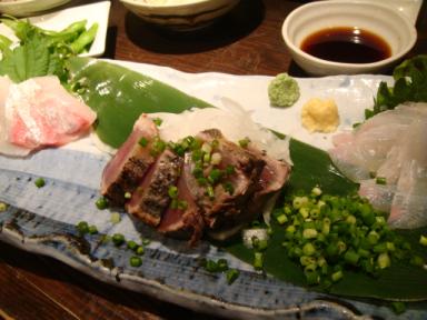 DSC00488.JPG