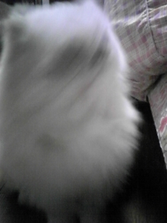 101115_032802.jpg