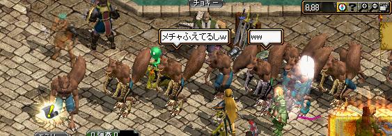 犬祭り再来！.JPG