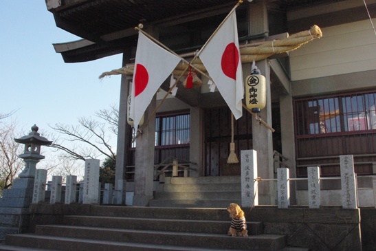 2010年.jpg