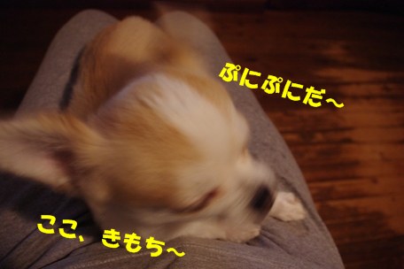 わん２