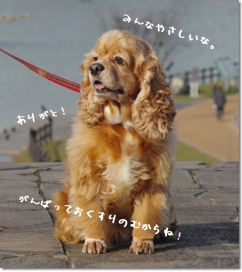 元気になるからね!