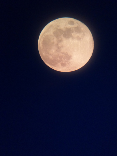 2011年7月14日17日moon.jpg