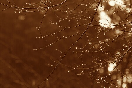 セピア色の想い２