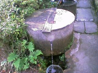 山水♪山水♪