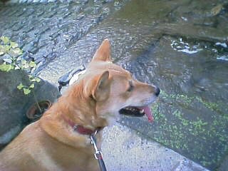 お水、もういいの～