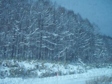 011123shukushou 0004.JPG
