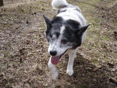 P3140163.JPG