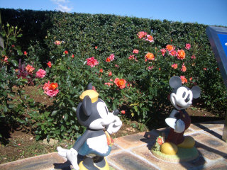ディズニーシリーズ