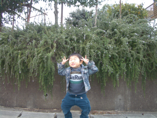 太陽