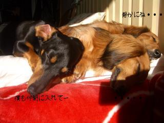 IMGP5760.JPG
