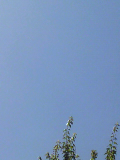 今日の空