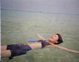 ウキウキの鹿。