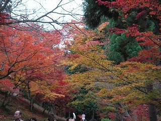 曼殊院2