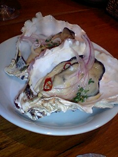 oyster