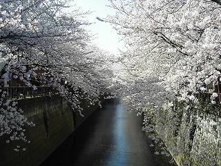 2005-04-08 08:55:01