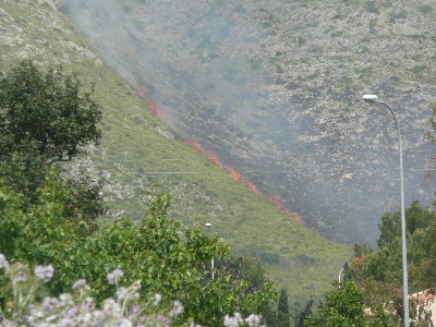 山火事！