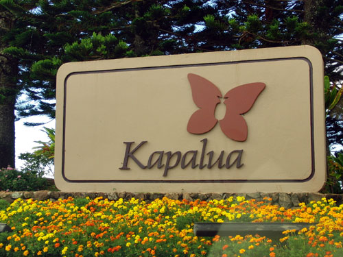 Kapalua Ent1