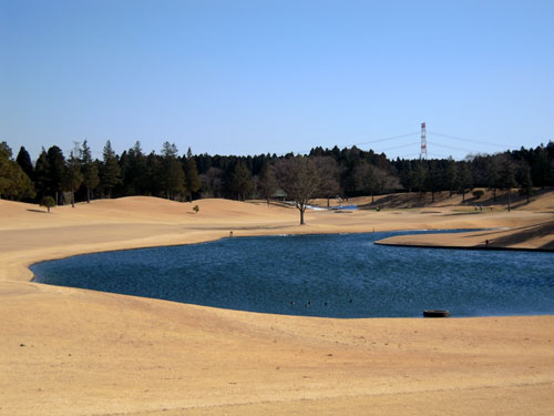 2010.2.7 hamano No11