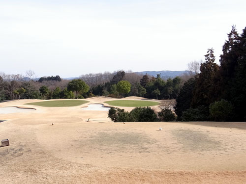 2011.3 森林公園No15