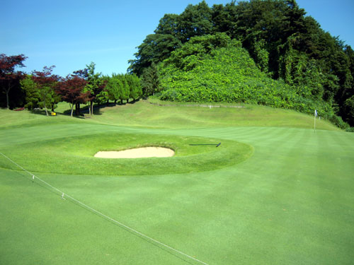 2010.7 彩の森No10