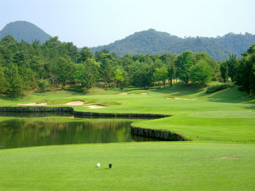 2010.7 Gold sano No15