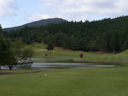 2011.11　溝辺No13